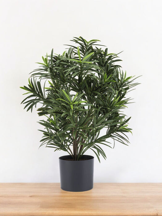 Podocarpus - Kunstig Grøn Plante