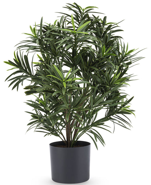 Podocarpus - Kunstig Grøn Plante