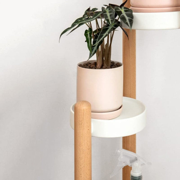 Træplanteholder På Havana Stativ