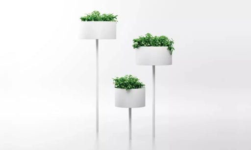 Grøn Cloud Peg Planteholder