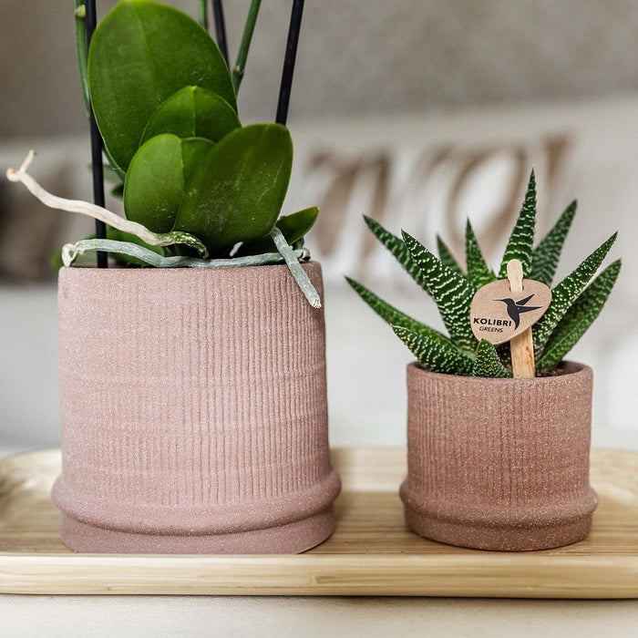 Bali Pot - Sand - Elegant Eklekticisme