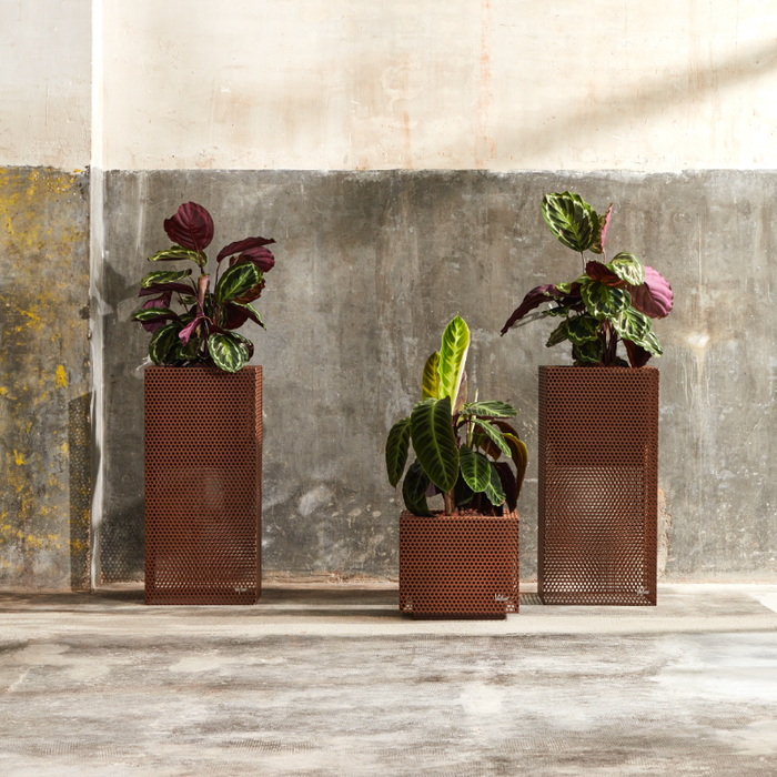 Top Firkantet Urtepotte