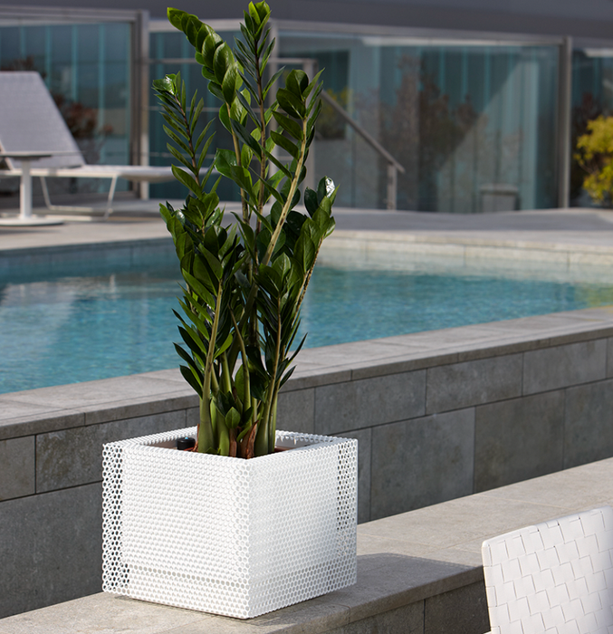 Top Firkantet Urtepotte