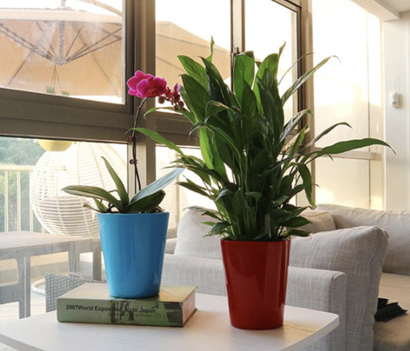 Udendørs Urtepotte Blå Potte Automatisk Vanding