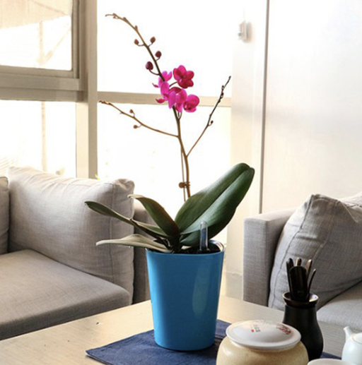 Udendørs Urtepotte Blå Potte Automatisk Vanding