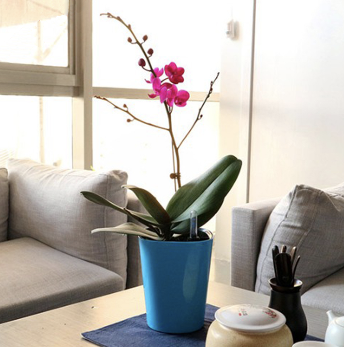 Udendørs Urtepotte Blå Potte Automatisk Vanding