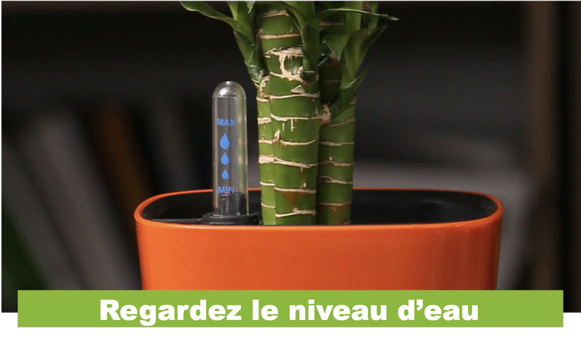 Udendørs Urtepotte Hvid Plastpotte Til Plante