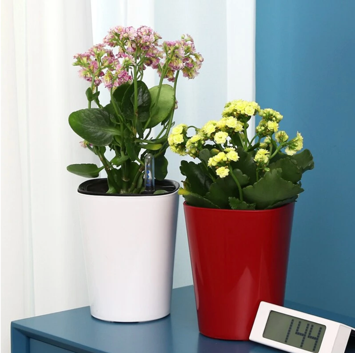 Udendørs Urtepotte Hvid Plastpotte Til Plante