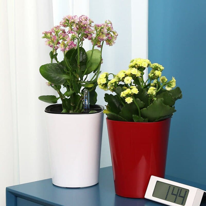 Udendørs Urtepotte Rød Plastpotte Automatisk Vanding