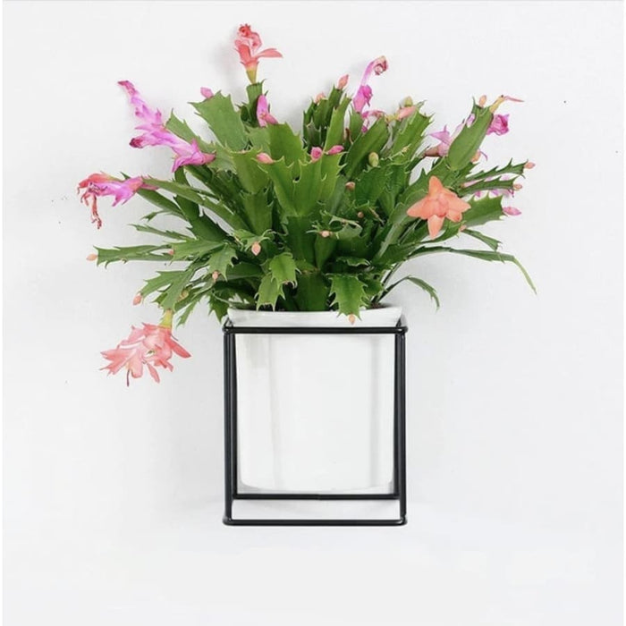 Kube Væg Blomsterpotte Til At Hænge På Væggen