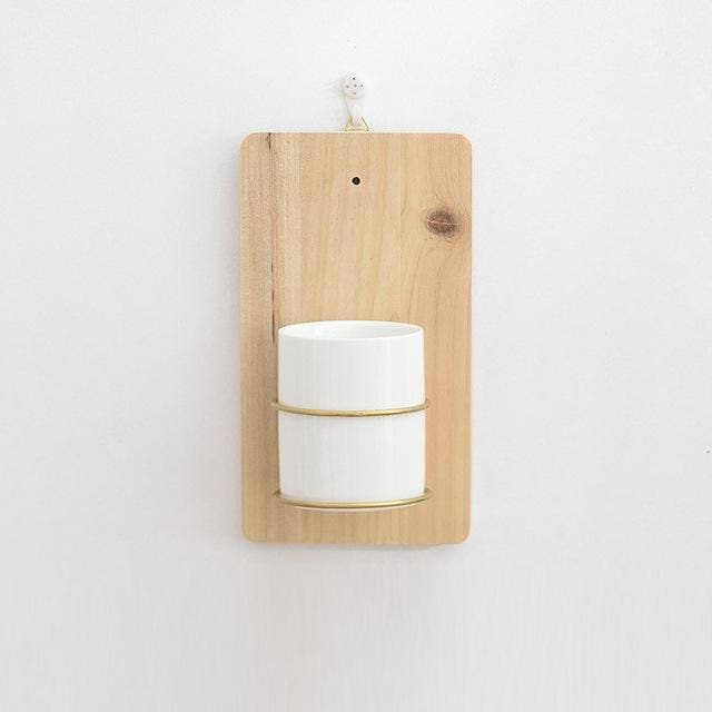 Væg Blomsterpotte Hængende Potte