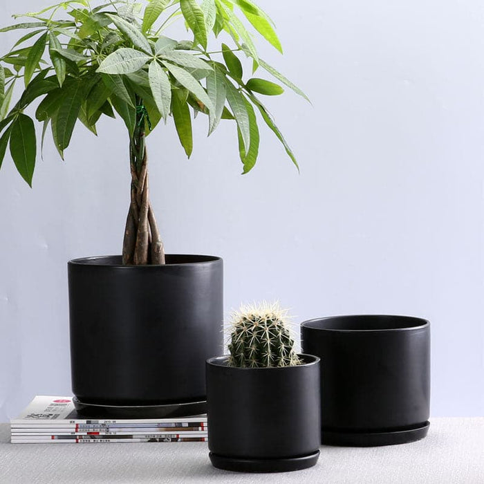 Urtepotte På Stativ Matsort Plantepotte