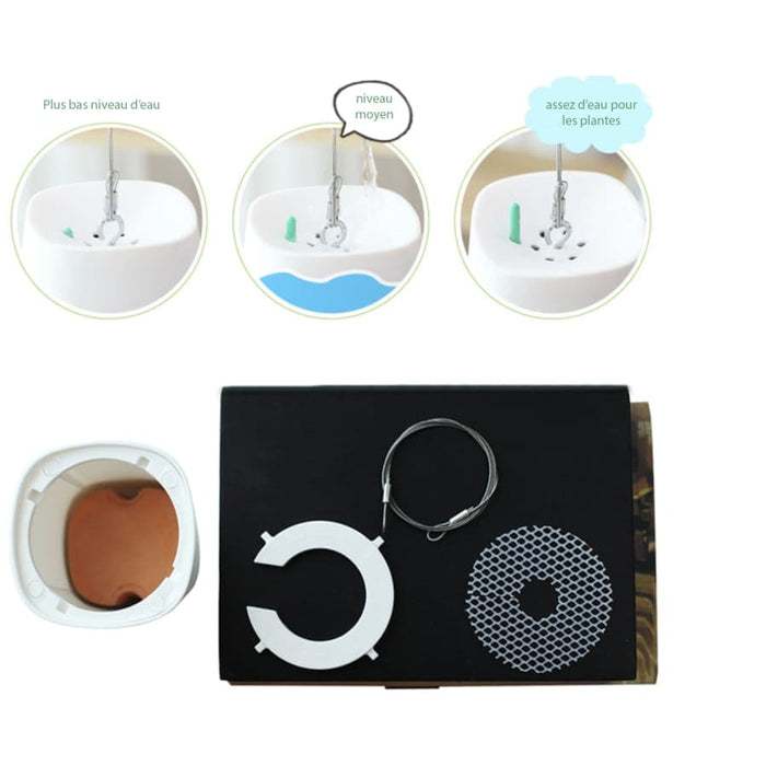 Hængende Urtepotte På Hovedet Hængende Plantekasse