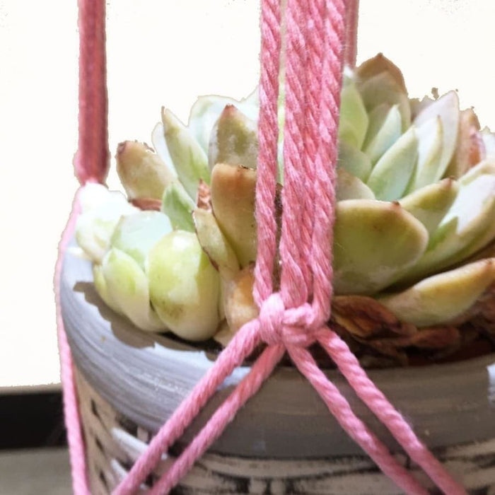 Hængende Urtepotte Makramé Planteholder Pink