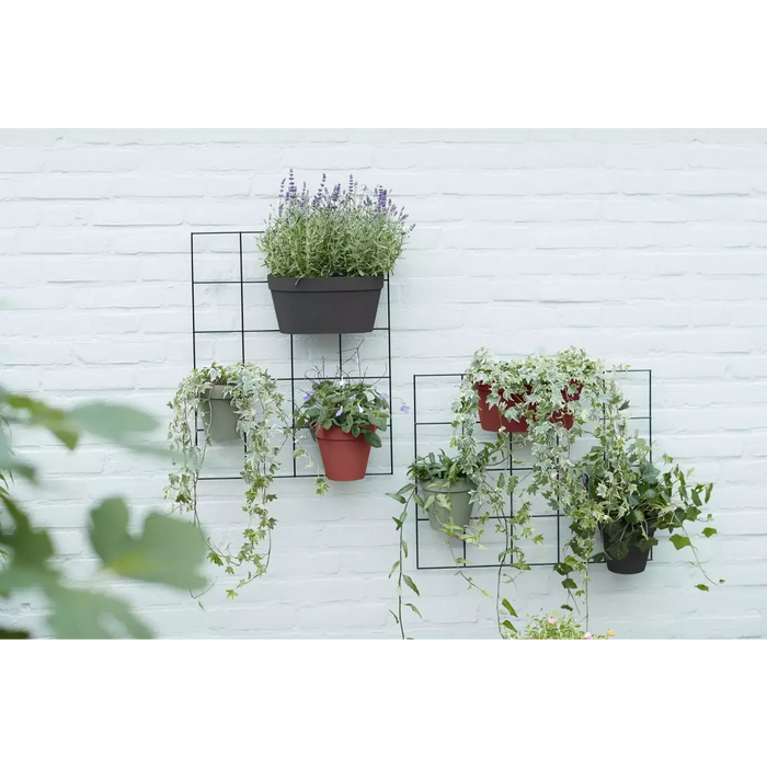 Wall Duo Plastic Wall Pot (X10)