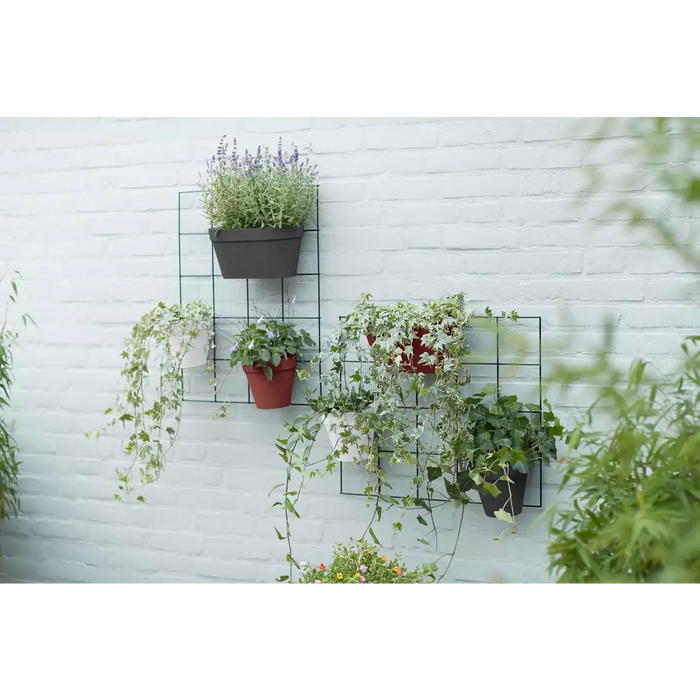 Wall Duo Plastic Wall Pot (X10)