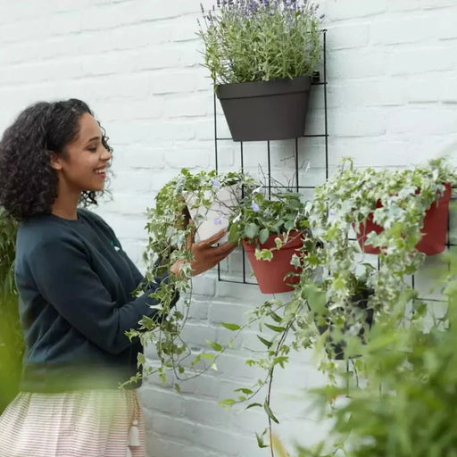 Wall Duo Plastic Wall Pot (X10)