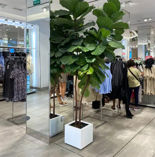 Firkantet Urban Pot
