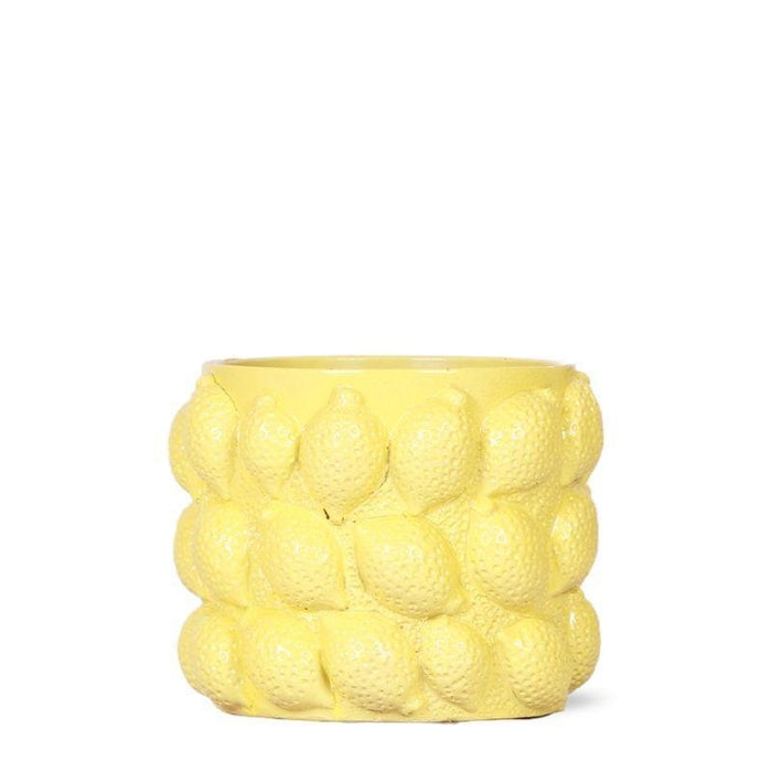 Gul Keramisk Citrus Pot