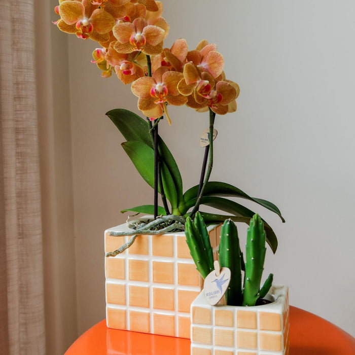 Mosa Dekorativ Potte - Orange