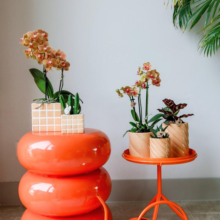 Mosa Dekorativ Potte - Orange