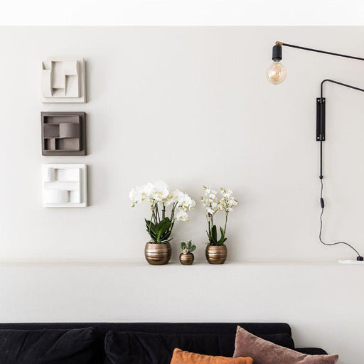 Bee Pot Dekorativ Keramisk Potte