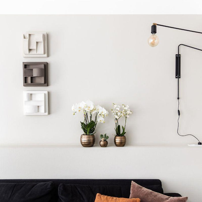 Bee Pot Dekorativ Keramisk Potte