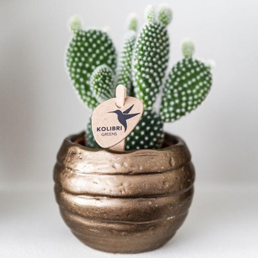 Bee Pot Dekorativ Keramisk Potte