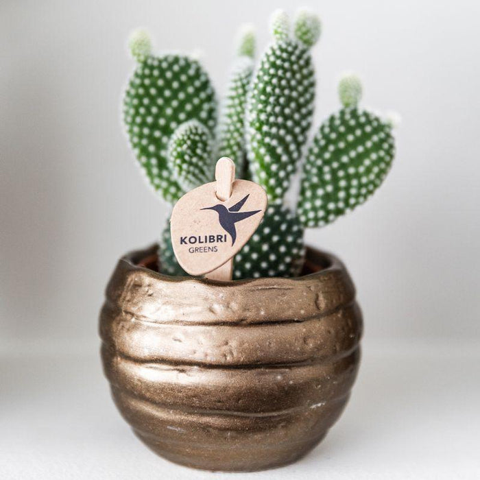 Bee Pot Dekorativ Keramisk Potte