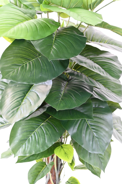 Kunstig Pothos Med Kokospind 120 Cm Dekoration