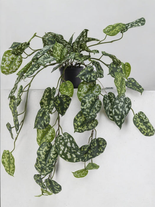 Pothos Silver - Kunstig Hængeplante