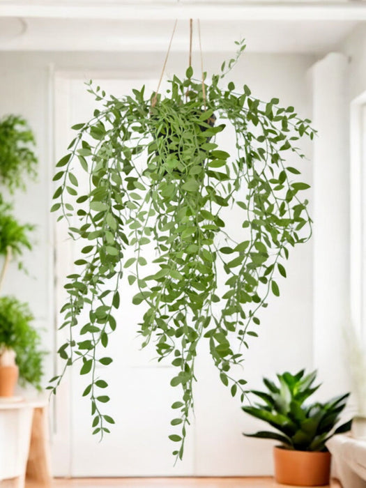 Pumila - Kunstig Faldende Plante