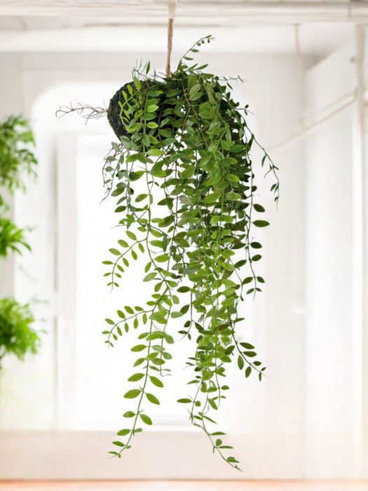 Pumila - Kunstig Faldende Plante
