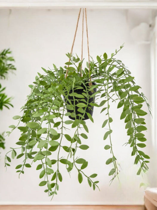 Pumila - Kunstig Faldende Plante