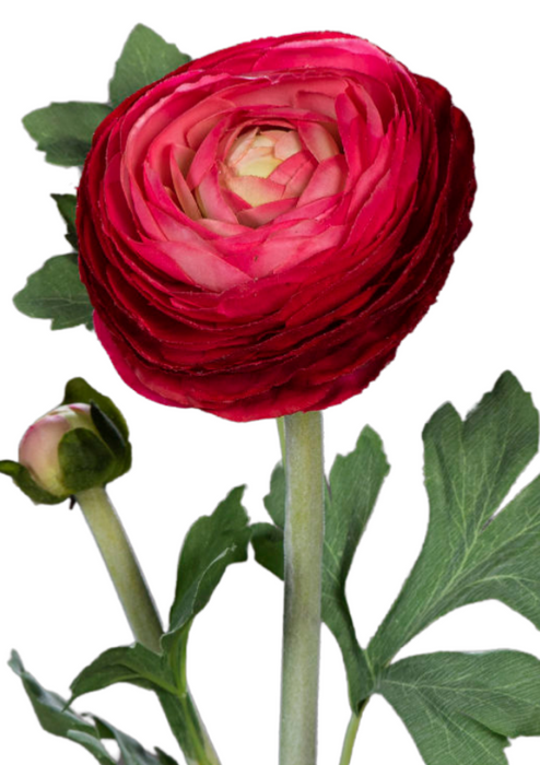 Kunstig Ranunculus Rød Stilk 57 Cm Til Buket