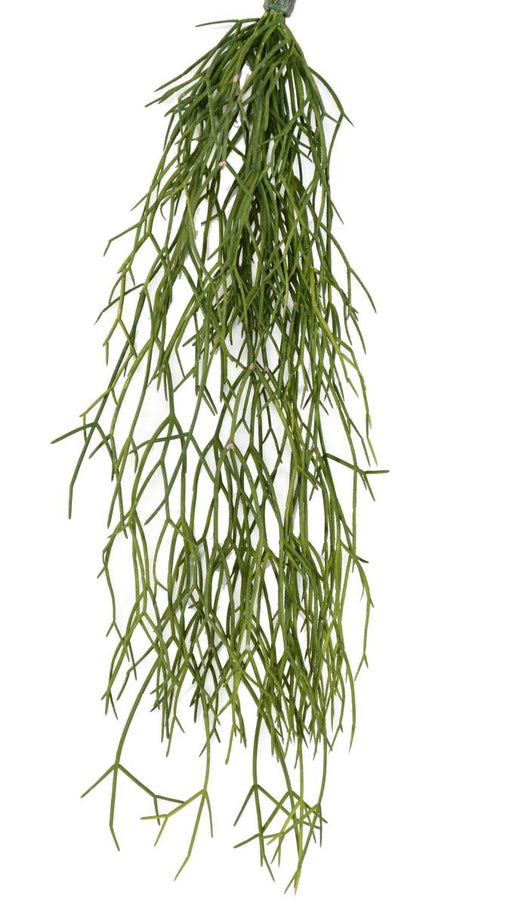 Kunstig Rhipsalis 50 Cm Til Indendørs Og Udendørs