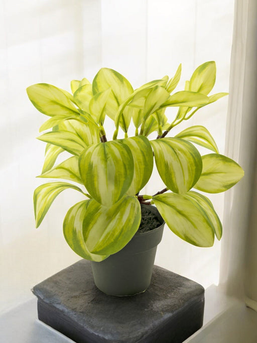 Rohdea - Kunstig Grøn Plante