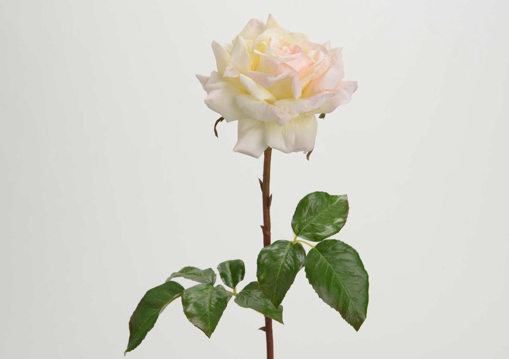 Kunstig Cremerose 52 Cm Til Indretning