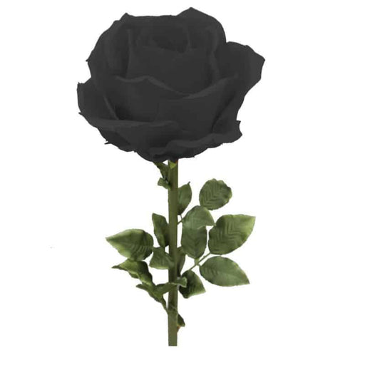 Kæmpe Sort Rose Henriette Indvendig Dekoration 125Cm