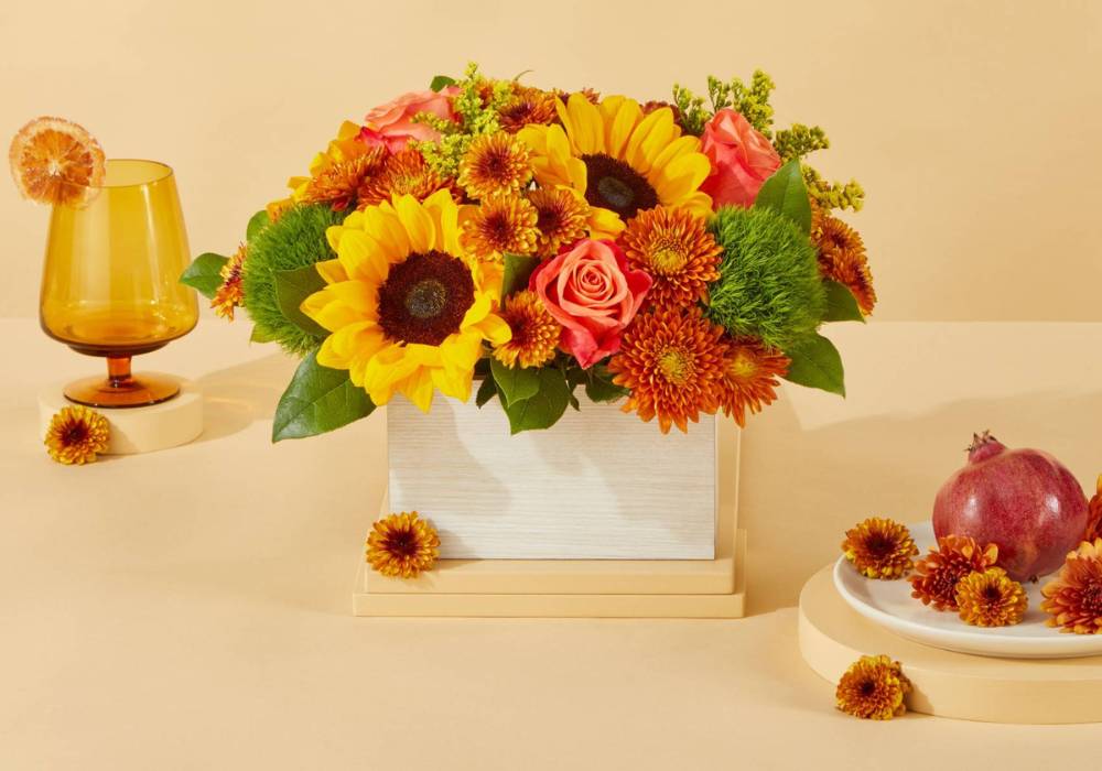 Forvandl dine rum med blomsternes skønhed og elegancen af nøje udvalgte potter.