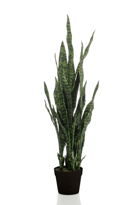 Sanseveria Sort Koral Kunstig Plante - H97Cm, Ø12Cm