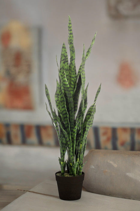 Sanseveria Sort Koral Kunstig Plante - H97Cm, Ø12Cm