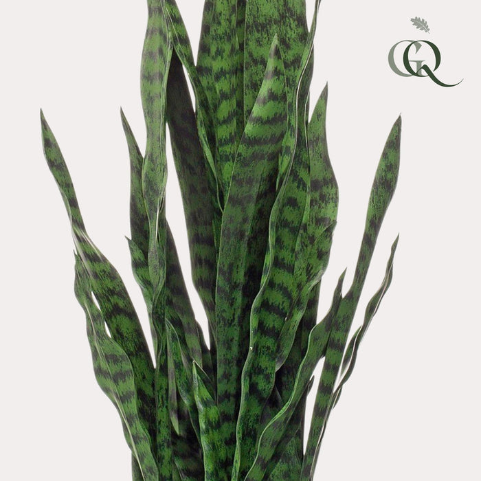 Sanseveria Sort Koral Kunstig Plante - H97Cm, Ø12Cm
