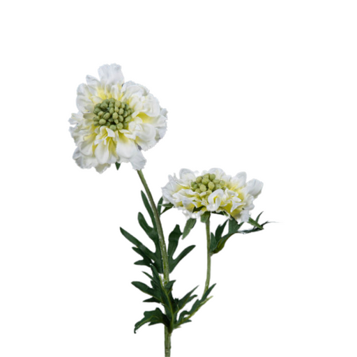 Kunstig Scabiosa Stilk 55 Cm Creme Dekoration