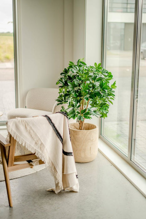Schefflera - Kunstigt Træ