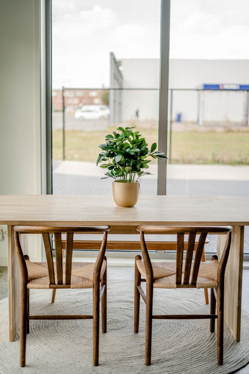 Schefflera - Kunstig Grøn Plante