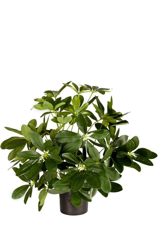 Schefflera - Kunstig Grøn Plante