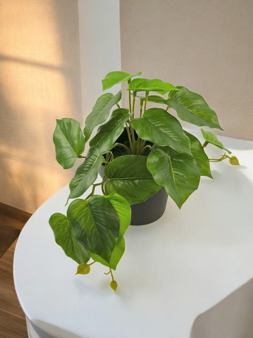 Scindapsus - Kunstig Grøn Plante