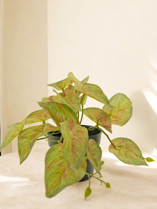 Scindapsus - Kunstig Grøn Plante