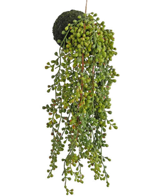 Senecio - Kunstig Faldende Plante